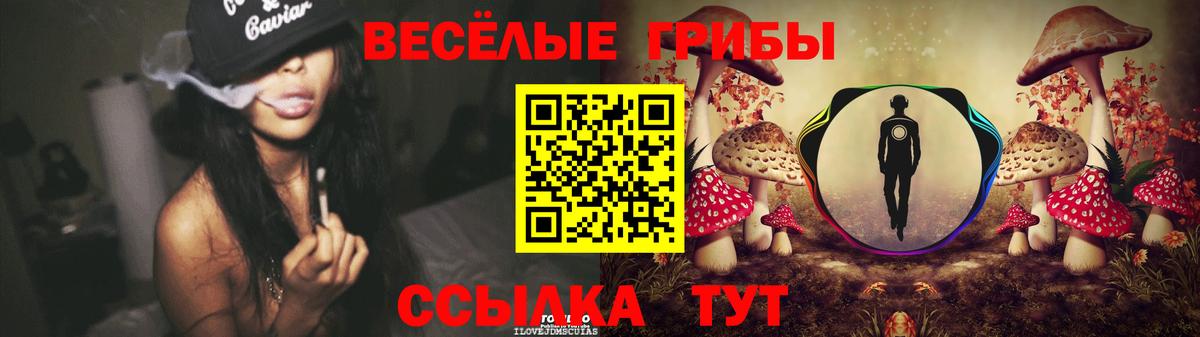 Тихорецк  Псилоцибиновые грибы Psilocybine cubensis  купить наркотики цена  Вход с VPN 